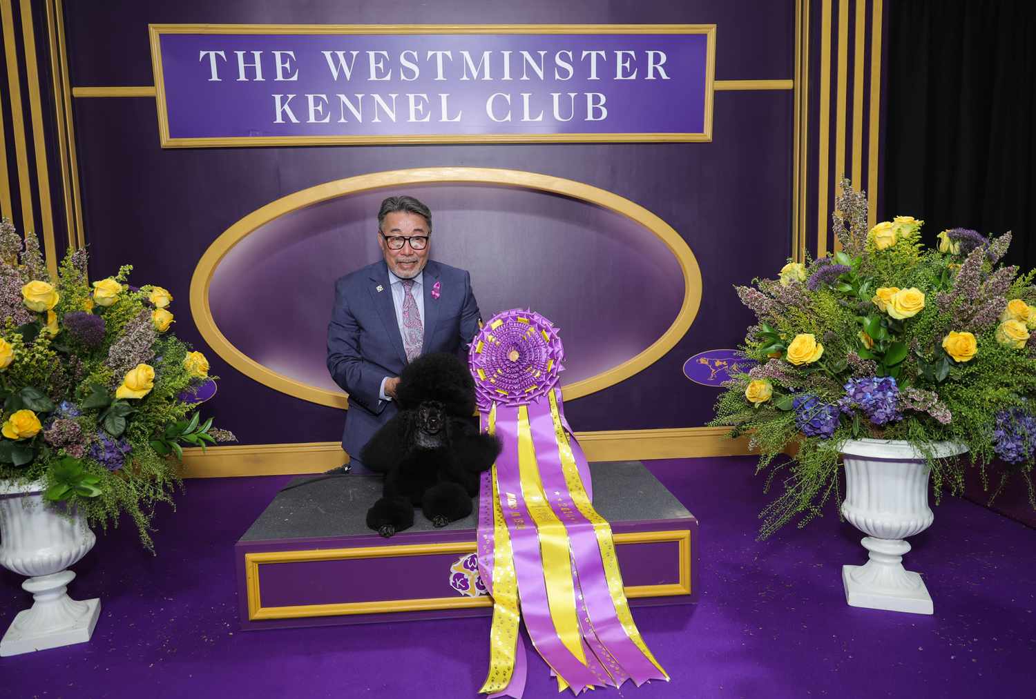 是时候参加2025 Westminster Dog Show了
